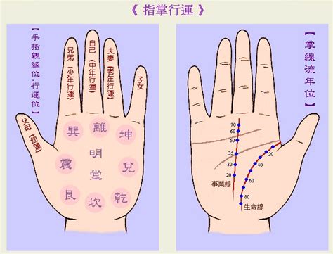 手指手相|【手相初學者指南】為什麼要看手相？手相怎麼看？智。